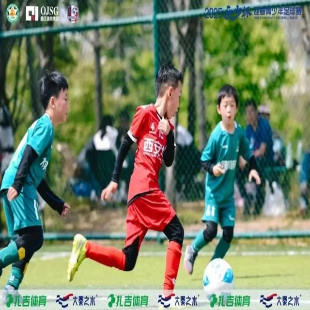 转会市场趋势观察：数据视角解读第379组动态